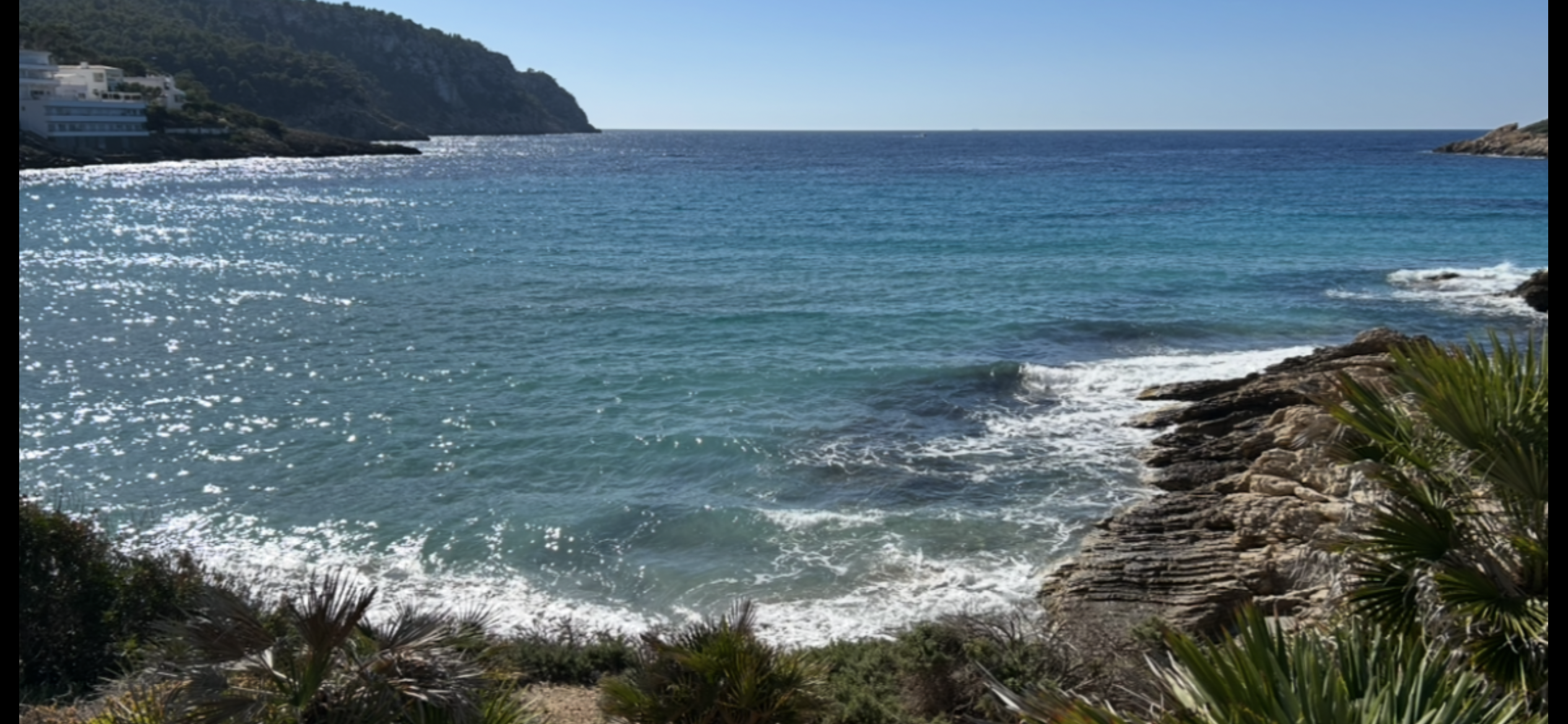 🏖️ Die schönsten Strände auf Mallorca ☀️🌴