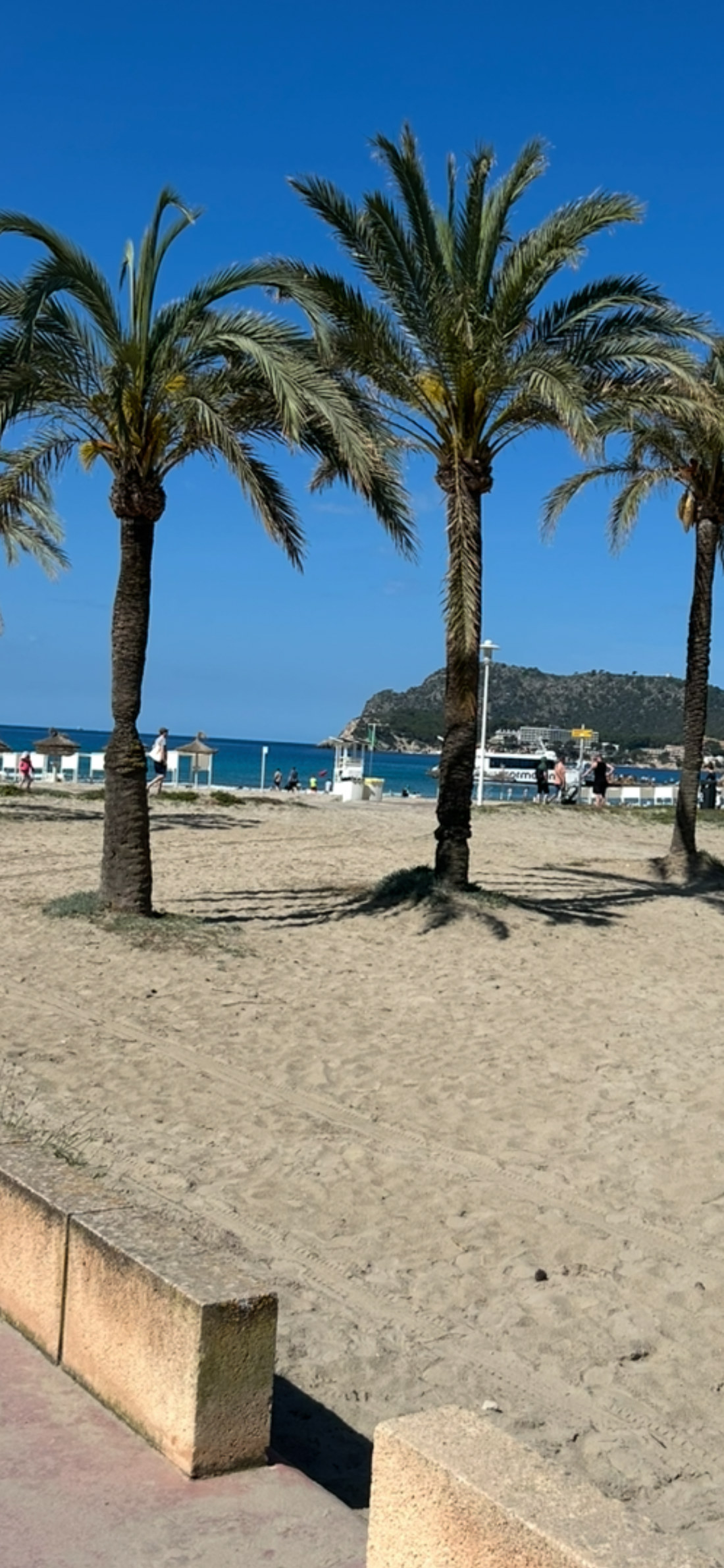 Beste Reisezeit Mallorca 🌴☀️ – Wann lohnt sich die Insel am meisten?