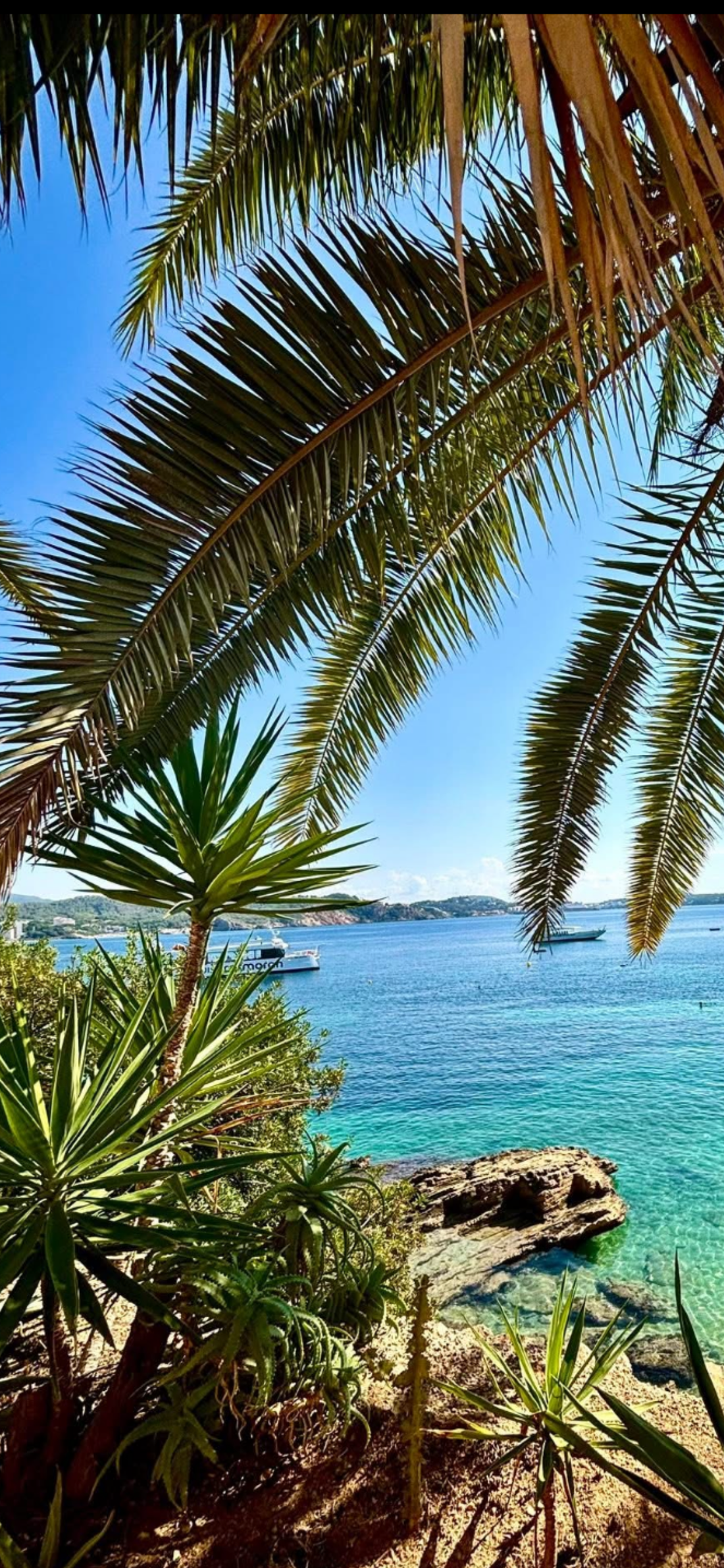 Wetter & Klima auf Mallorca🌴🌦️- Temperaturen, Sonne & Jahreszeiten