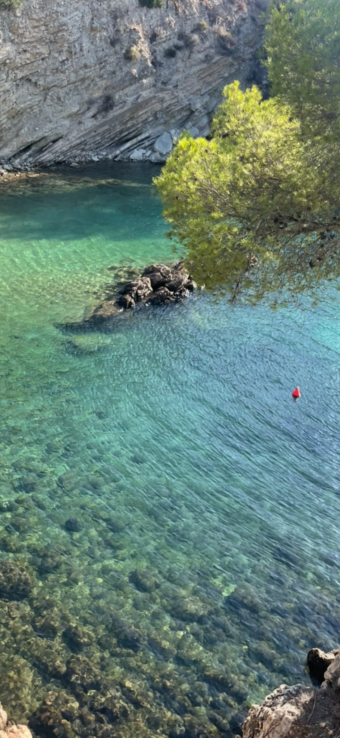 🌴 Reiseplanung Mallorca – Geheimtipps für eine besondere Auszeit