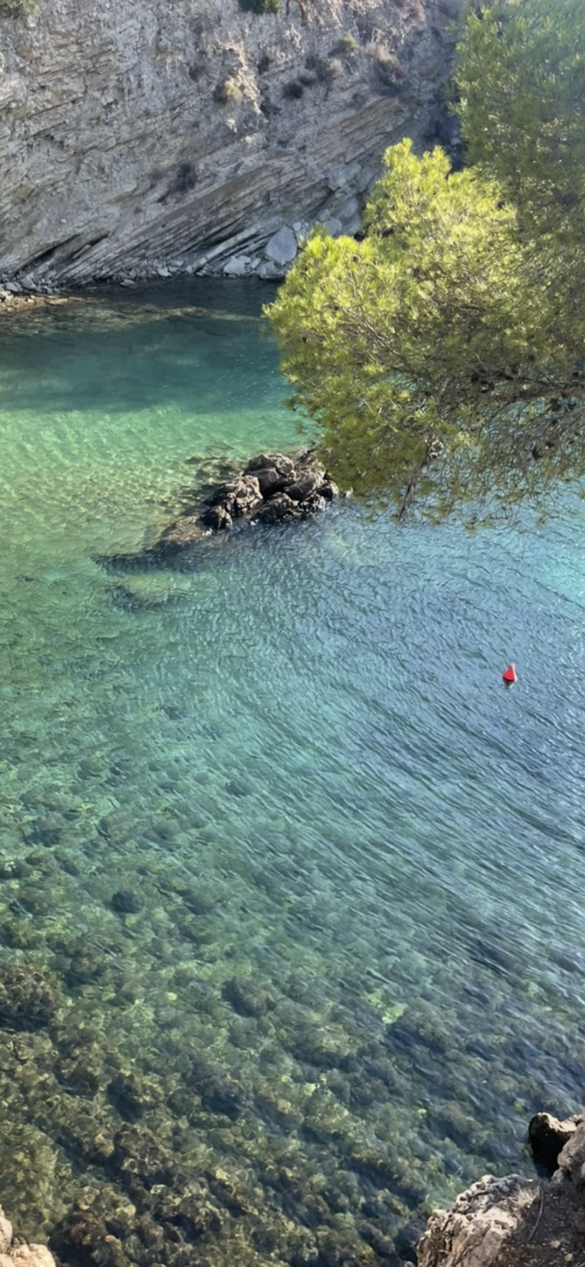 🌴 Reiseplanung Mallorca – Geheimtipps für eine besondere Auszeit