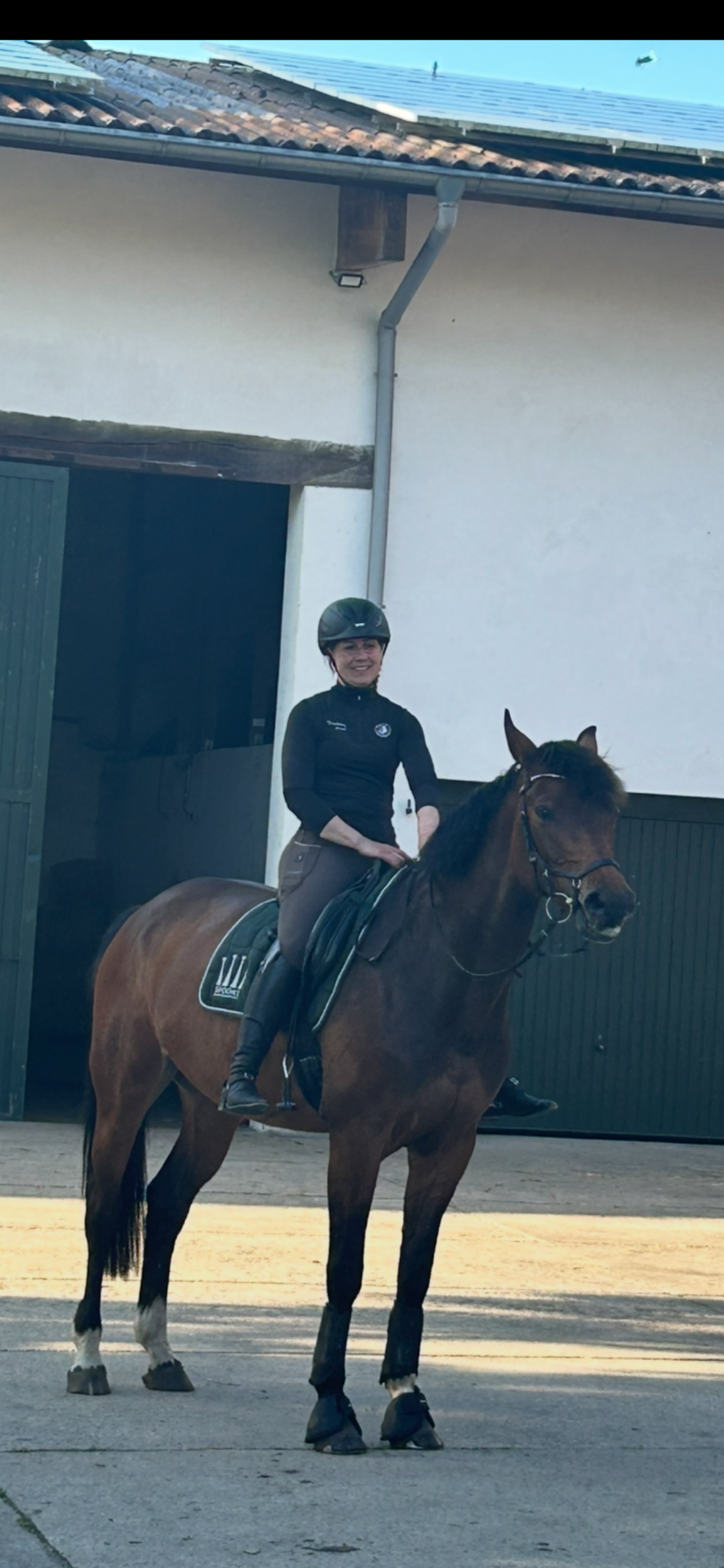Ausrüstung & Zubehör 🐴✨ – Was Pferd & Reiter wirklich brauchen