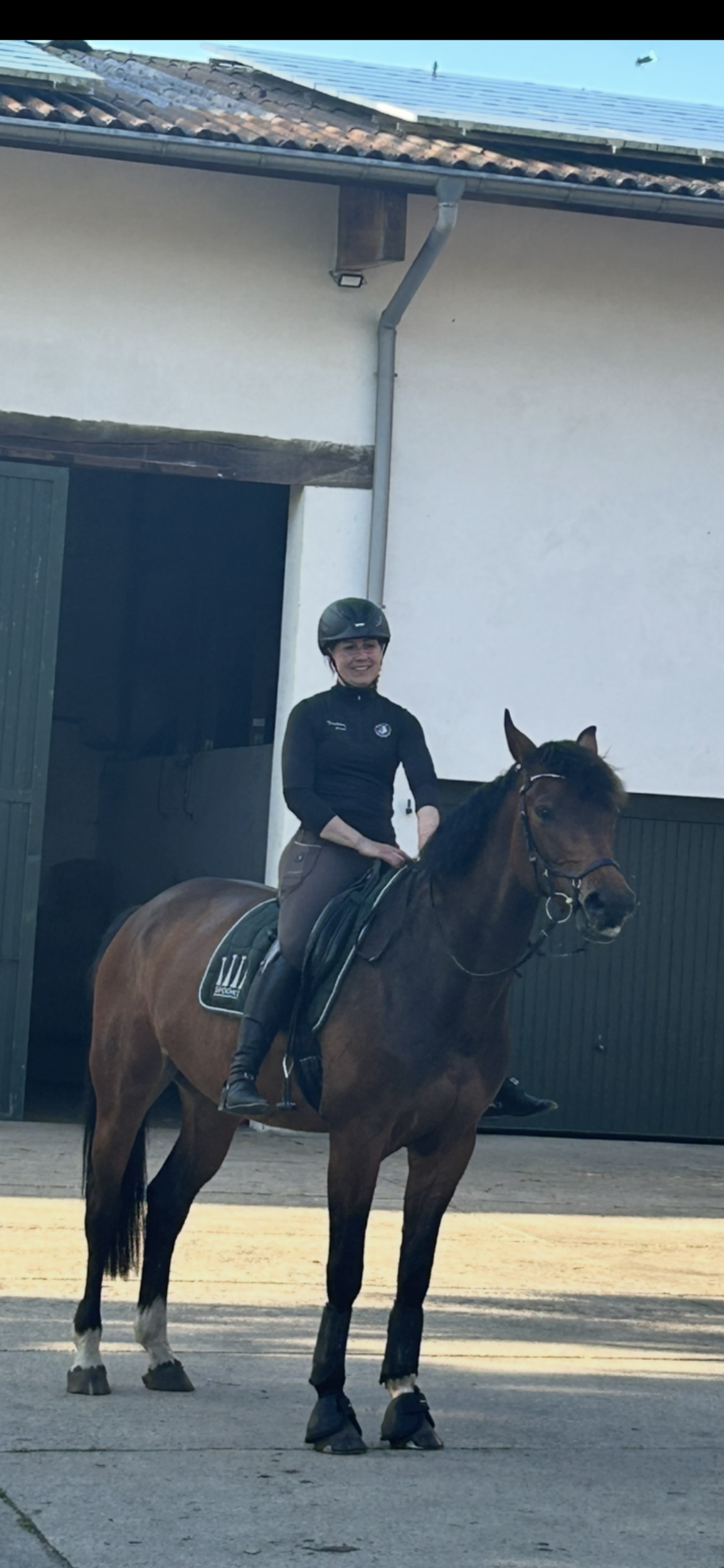 Ausrüstung & Zubehör 🐴✨ – Was Pferd & Reiter wirklich brauchen