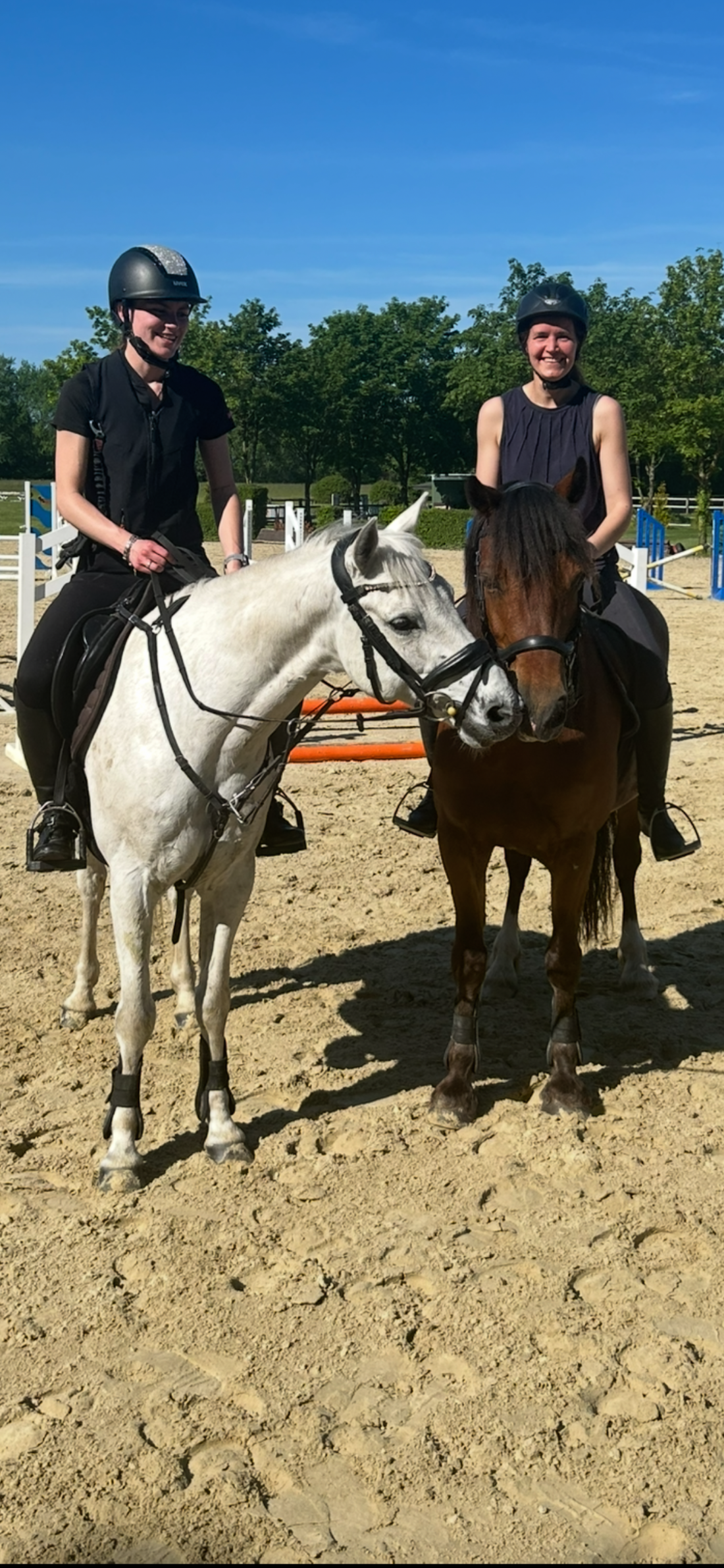 Freizeit & Training 🐴✨ – Balance zwischen Spaß, Bewegung & Vertrauen