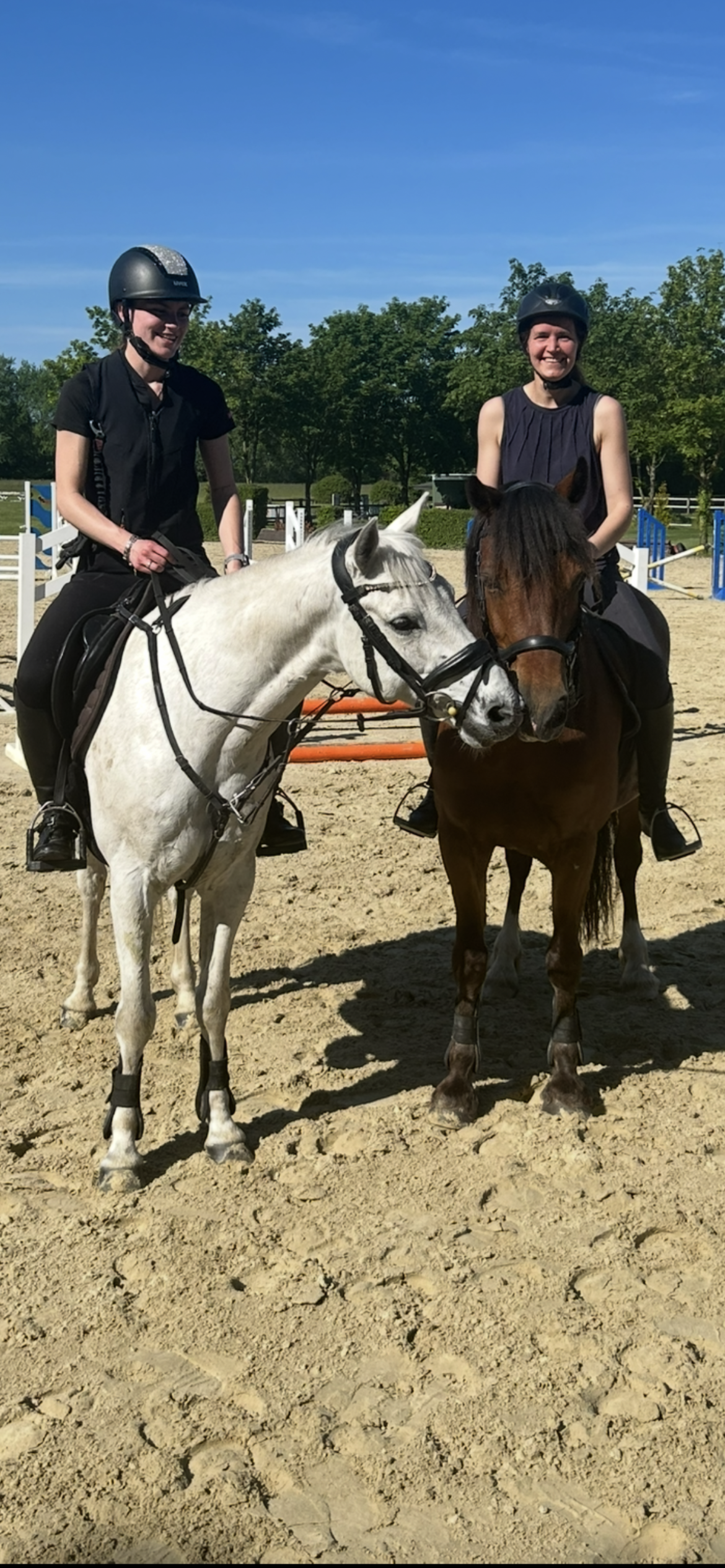 Freizeit & Training 🐴✨ – Balance zwischen Spaß, Bewegung & Vertrauen