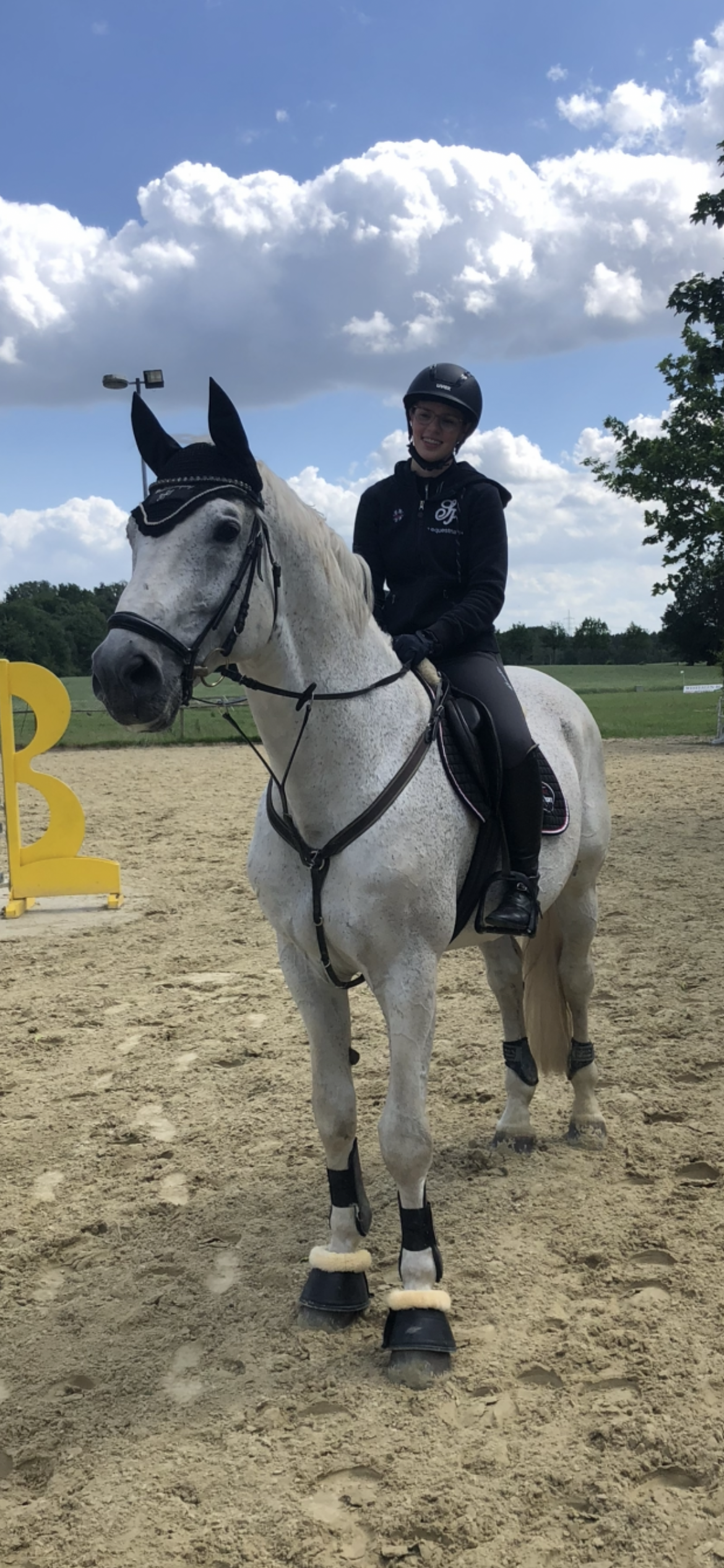 🐴 Ausrüstung & Zubehör für Pferd und Reiter – Was wirklich wichtig ist