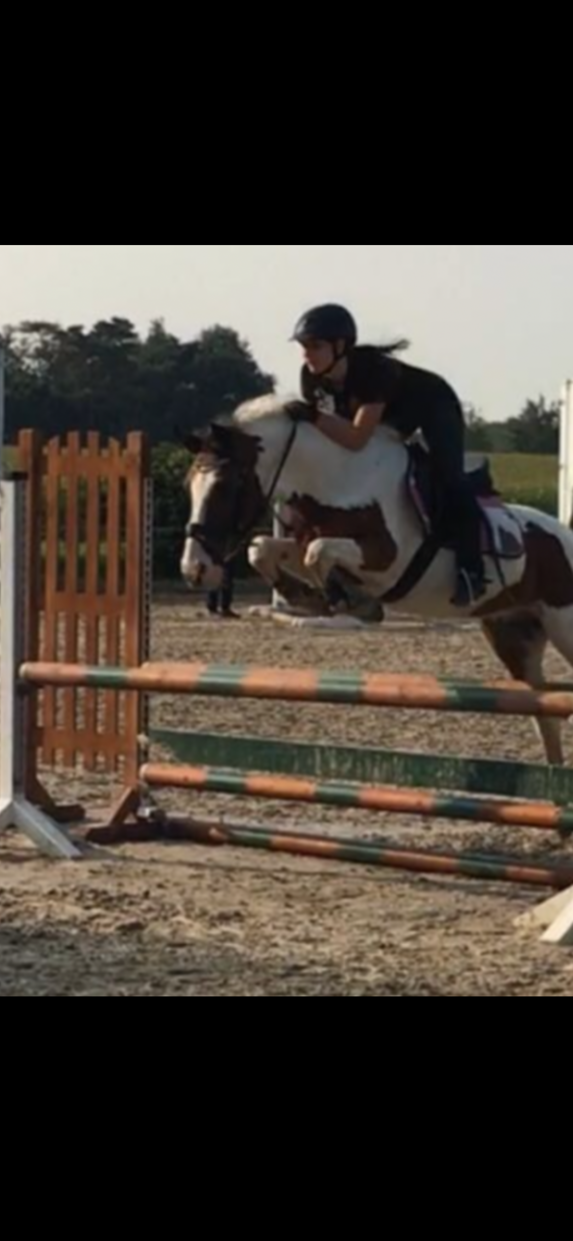 Freizeit & Training 🐴✨ – Balance zwischen Spaß, Bewegung & Vertrauen
